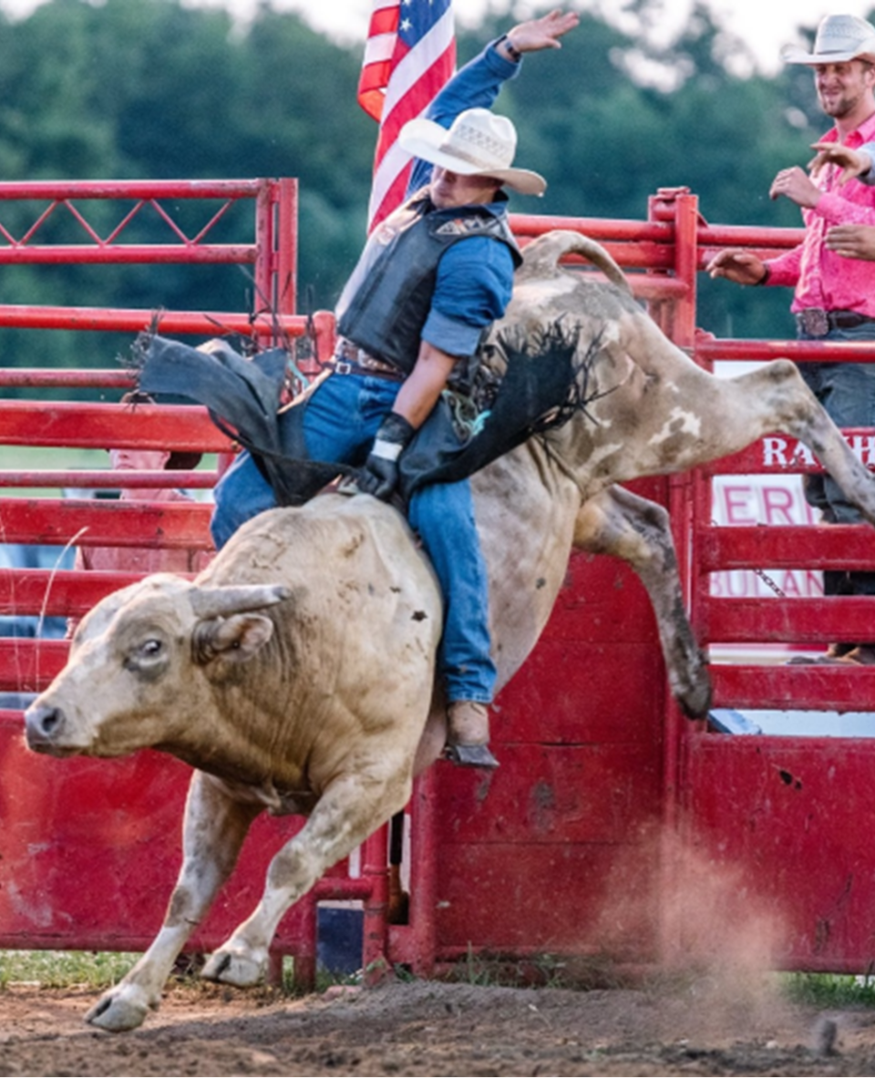 Erie County Fair
